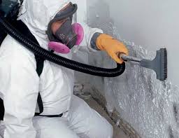 Why You Should Choose Our Mold Remediation Services in Campbellsport, WI